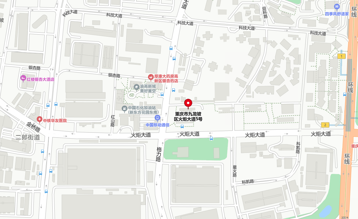 地图